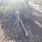 Turkish Combat Drone Bombed SDF-Held Villages In Northern Syria (Photos)