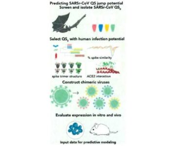 Wuhan Scientists Planned To Release 'Chimeric Covid Spike Proteins' Into Bat Populations Using 'Skin-Penetrating Nanoparticles'