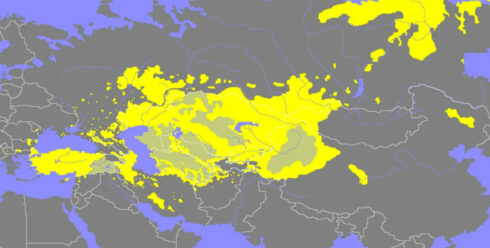 Geopolitical Pan-Turkism And The Ideology Of The "New" Caliphate: Pairing Or Competition