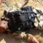 ISIS Terrorists Killed 17 Soldiers, Captured Two Armored Vehicles During Recent Attack In Nigeria (Photos)