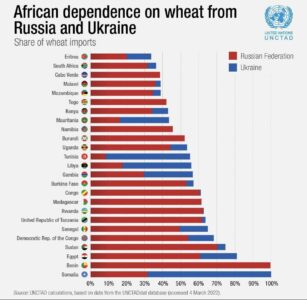 The War Of The Wheat And The Famine To Come