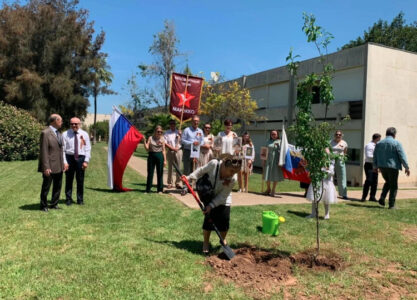 How Victory Day Is Celebrated In Different Countries Of World (Photos, Videos)