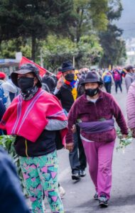 Ecuador: Key Aspects and Implications of the National Strike - Reasserting Control Over a Rogue Government