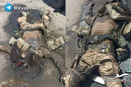 Column Of Ukrainian Fighters Destroyed Near Lisichansk Oil Refinery (Photos)