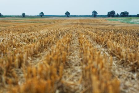 Satellite Imagery Shows Global Crop Declines – Except For Russia And China