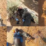 ISIS Releases Photos Of Recent Large Attack On Al-Qaeda In Mali