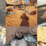 ISIS Releases Photos Of Recent Large Attack On Al-Qaeda In Mali