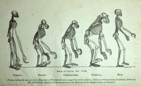 Scrapping Charles Darwin: Hindutva’s Anti-Scientific Maladies