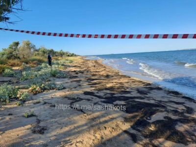 Unidentified UAV Discovered Several Kilometers From Crimean Bridge - Report