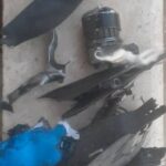 Syrian Army Shot Down Nine Drones Over Idlib, Lattakia (Video, Photos)