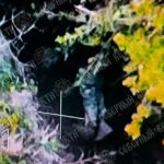 Carnage At Kursk Border: Russians Repel Wave After Wave of Ukrainian Attacks Near Tetkino