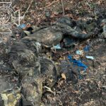 The Dead Don’t Lie: Ukraine’s Grotesque Spin on Body Returns From Russia (18+)