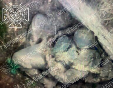 Ukraine's Month-Long Assault on Tyotkino In Kursk Yields Only Graves (18+)