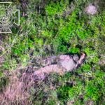 Military Overview 18+: Ukrainian Fronts Crumble Under Multi-Axis Assault