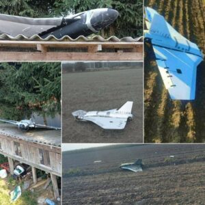 Poland, Where're Wreckage Of Russian Drones?