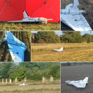 Drones Over Poland: Deliberate Provocation Or Accident?